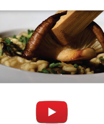 risoto de funghi e cogumelos